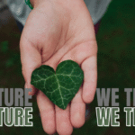 Follow nature, stay with nature, surrender to nature,