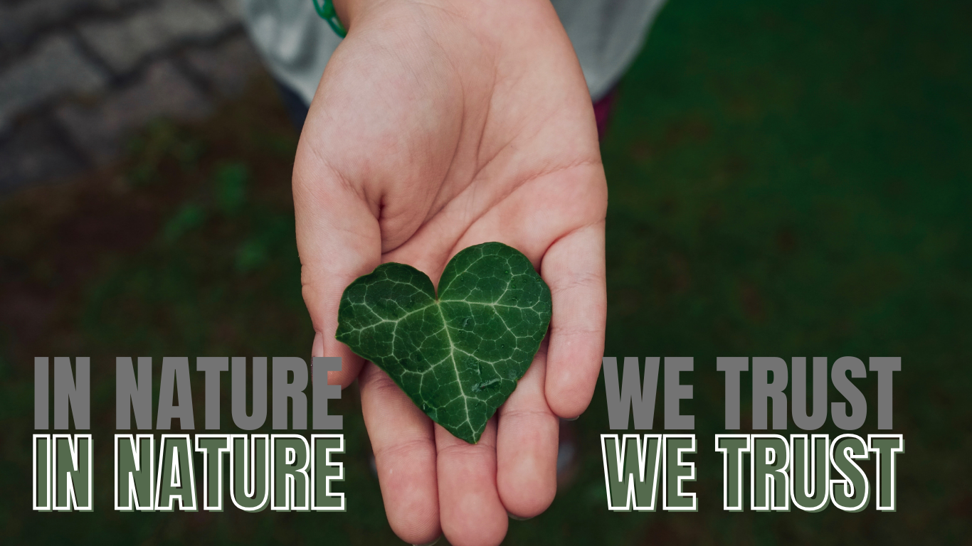 Follow nature, stay with nature, surrender to nature,