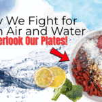 A vibrant assortment of fresh fruits, vegetables, nuts, and seeds representing the concept of pure, unprocessed food.