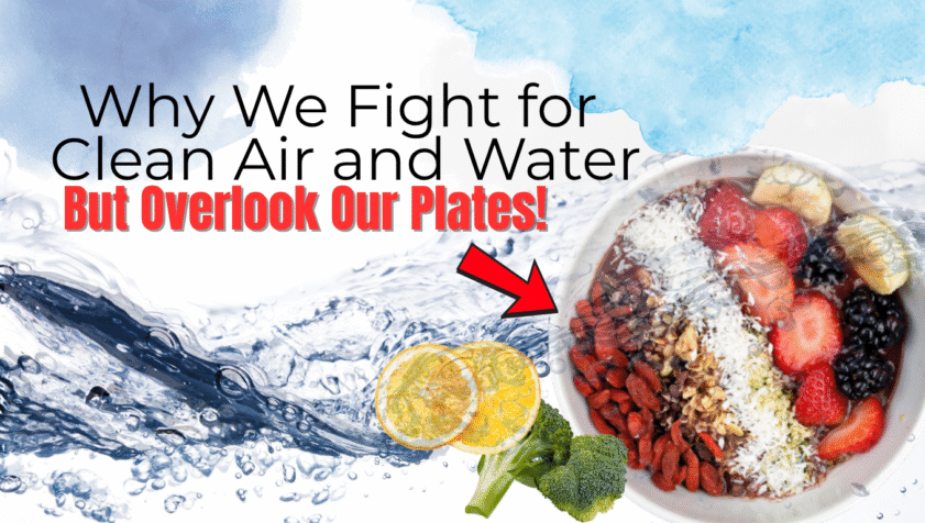 A vibrant assortment of fresh fruits, vegetables, nuts, and seeds representing the concept of pure, unprocessed food.