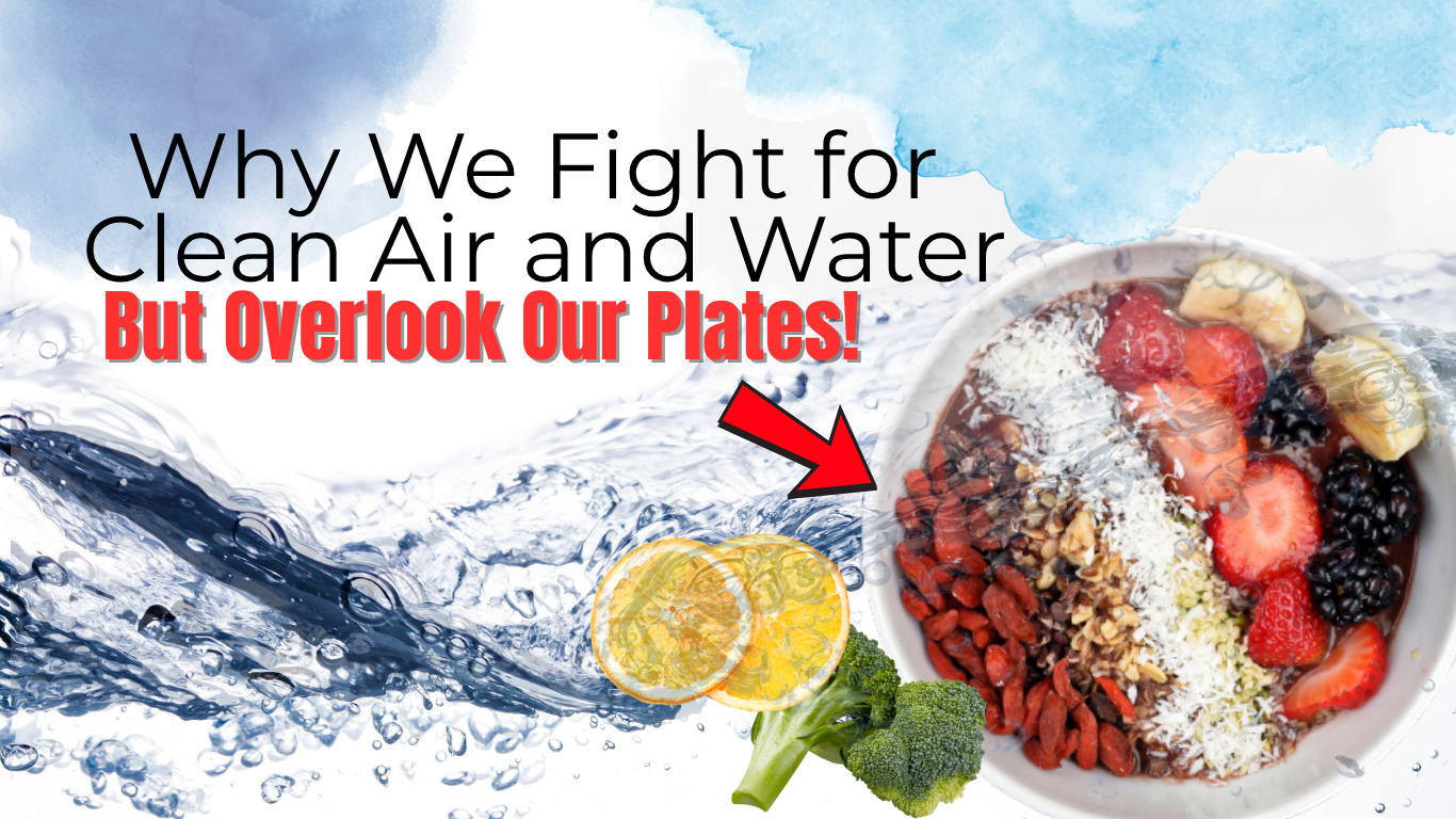 A vibrant assortment of fresh fruits, vegetables, nuts, and seeds representing the concept of pure, unprocessed food.